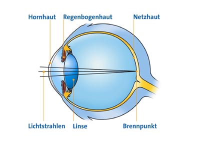 Normalsichtigkeit