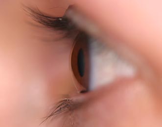 Auge in Seitenansicht: Hornhaut